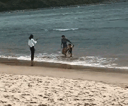 章子怡带女儿海边冲浪 小苹果为醒醒拍照关系融洽 章子怡带女儿海边冲浪 小苹果为醒醒拍照关系融洽