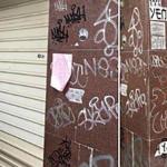 琼瑶豪宅遭涂鸦 琼瑶身心俱疲真相遭曝光网友支招成亮点 琼瑶豪宅遭涂鸦 琼瑶身心俱疲真相遭曝光网友支招成亮点