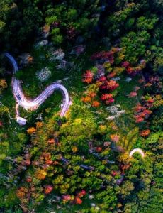 延禧攻略袁春望扮演者关评论怎么回事 王茂蕾：被骂太惨